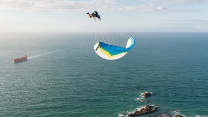 A Kiwi Mini Migration