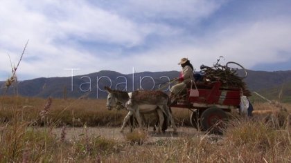 Tapalpa/San Marcos Extended Cut